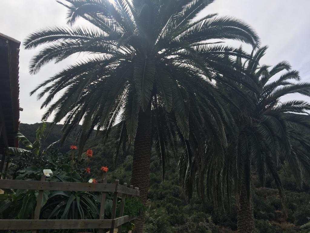 El Rincon De Antonia Agulo
