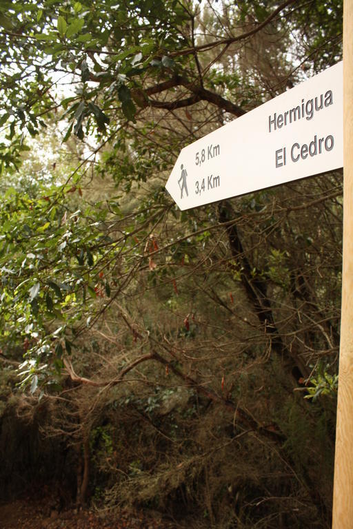 El Rincon De Antonia Agulo
