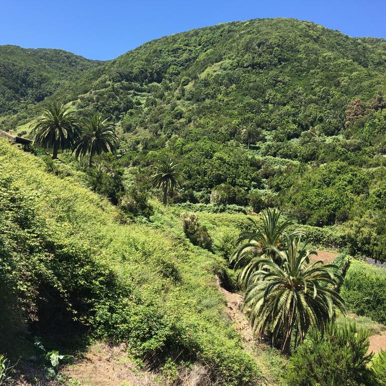 Casa vacanze El Rincon De Antonia Agulo