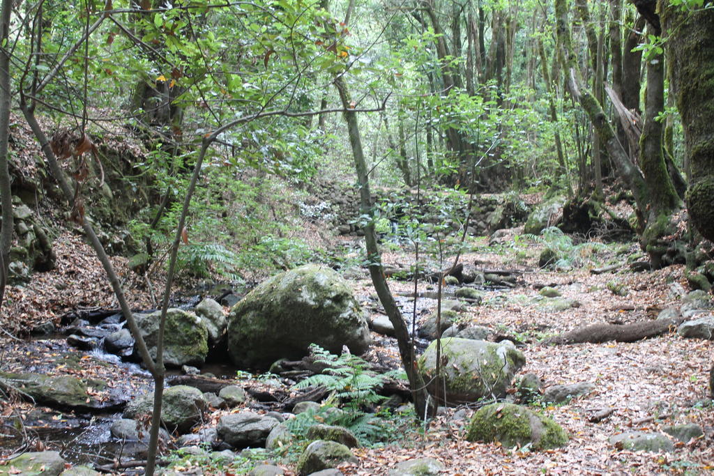 El Rincon De Antonia Agulo