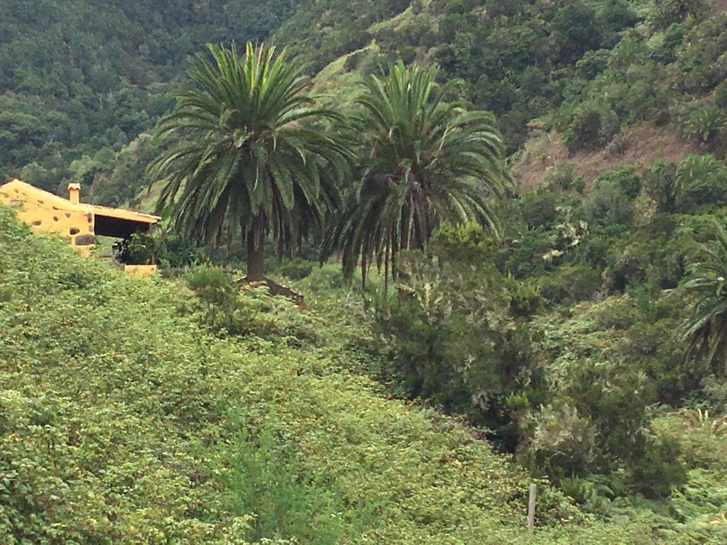 Casa Rural El Rincon De Antonia Agulo