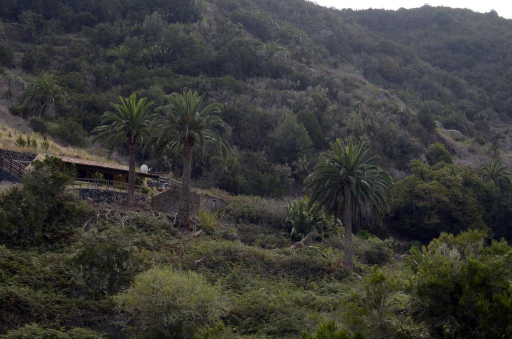 Casa Rural El Rincon De Antonia * Agulo