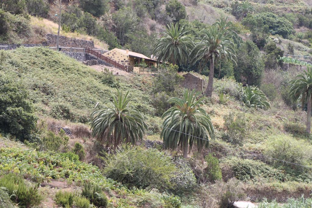 El Rincon De Antonia Agulo